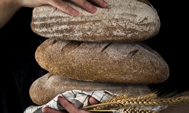 FRITSCH 40% increase in sales leads to location expansion