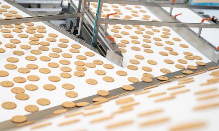 Syntegon explains the gentle journey into the biscuit and cookie tray