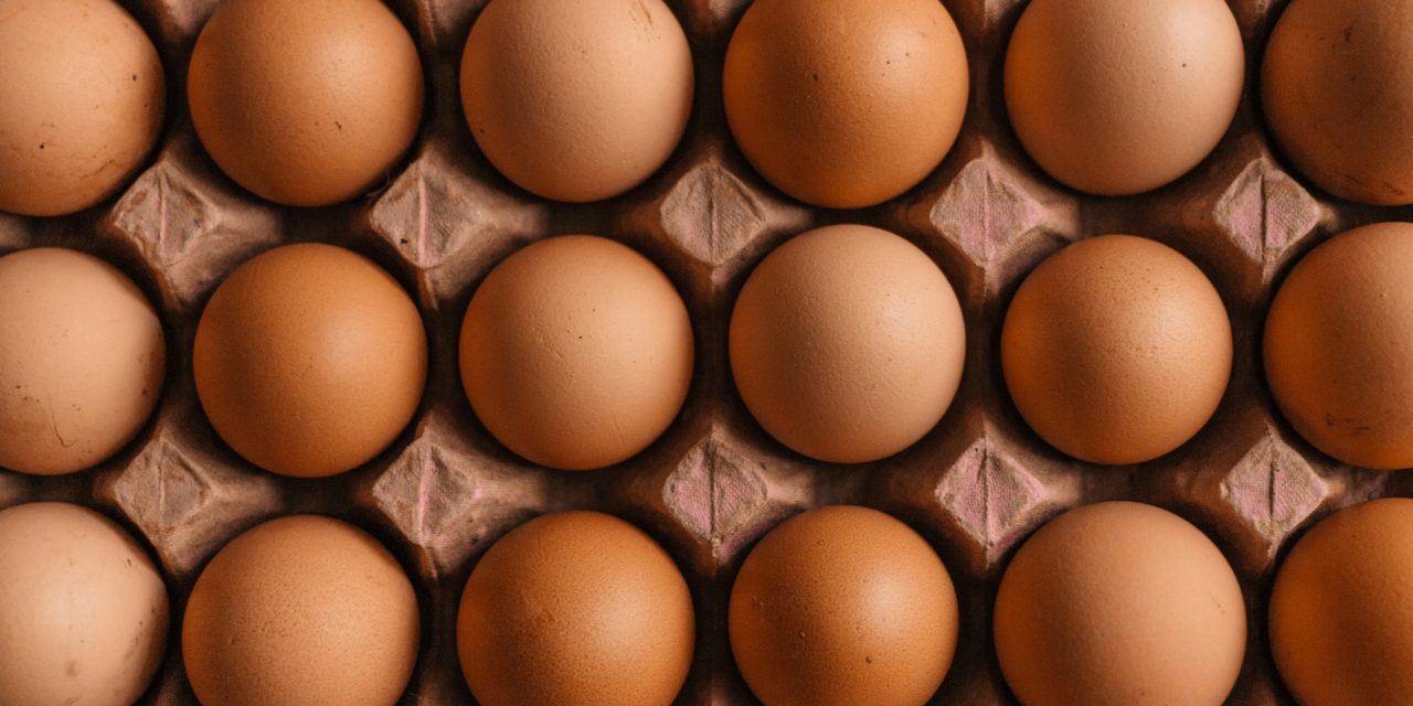 Cracking the egg crisis