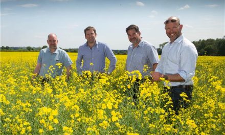 Eurostar Foods launches Green Farm Collective RE:GEN flour line