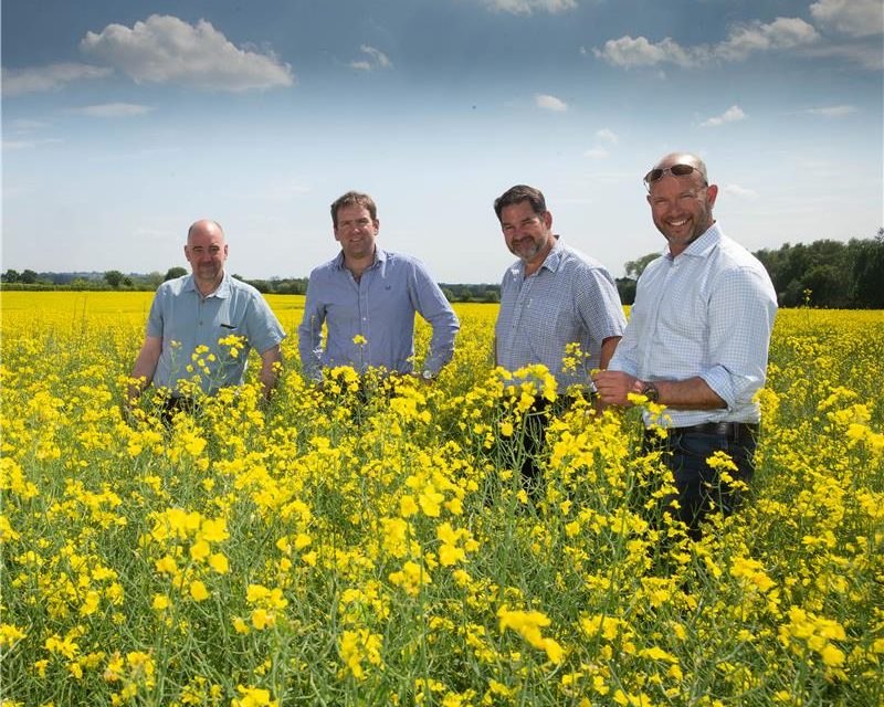 Eurostar Foods launches Green Farm Collective RE:GEN flour line