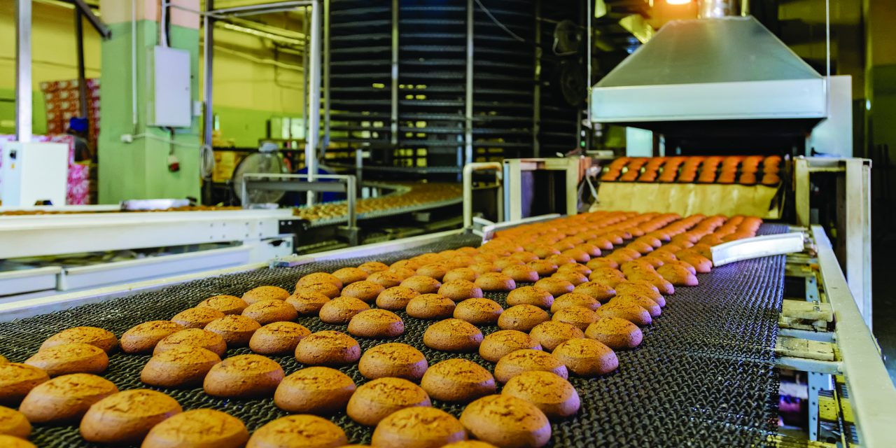 Finding the energy to transform your business 