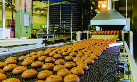 Finding the energy to transform your business 