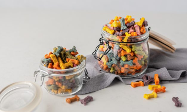 GNT launches plant-based pet food ingredients